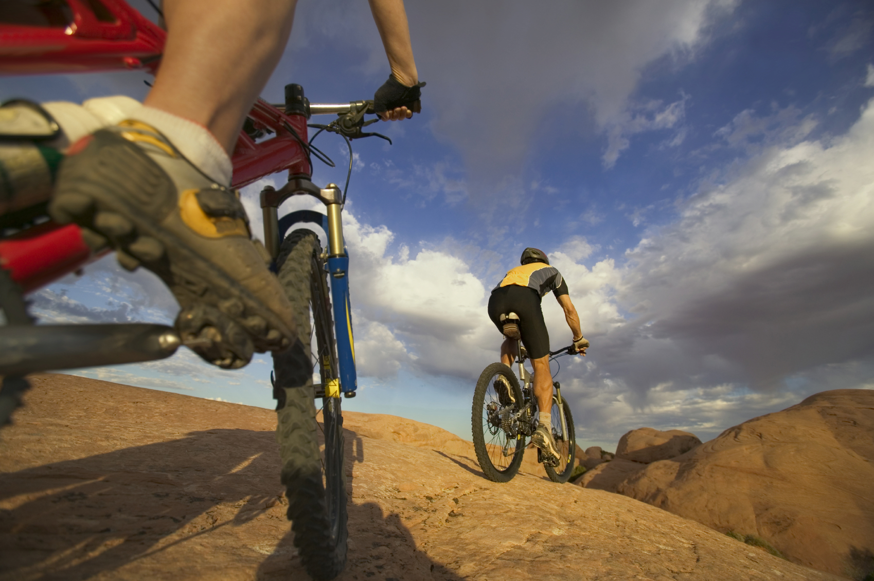 Two mountain bikers