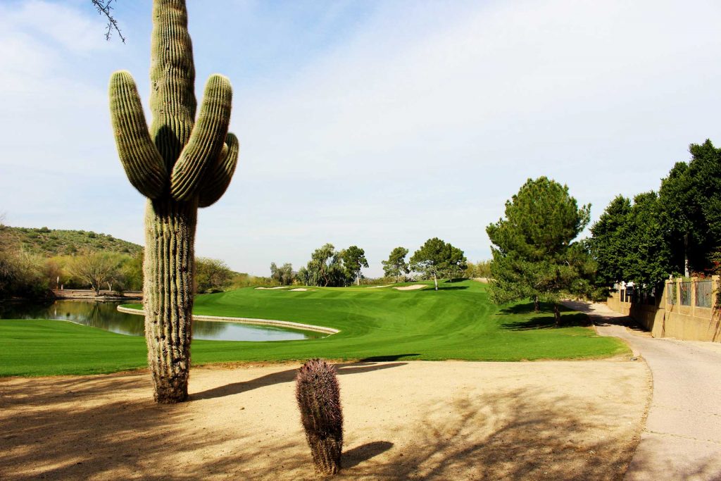 Saguaro cactus and cart path along Lookout Mountain Golf Course